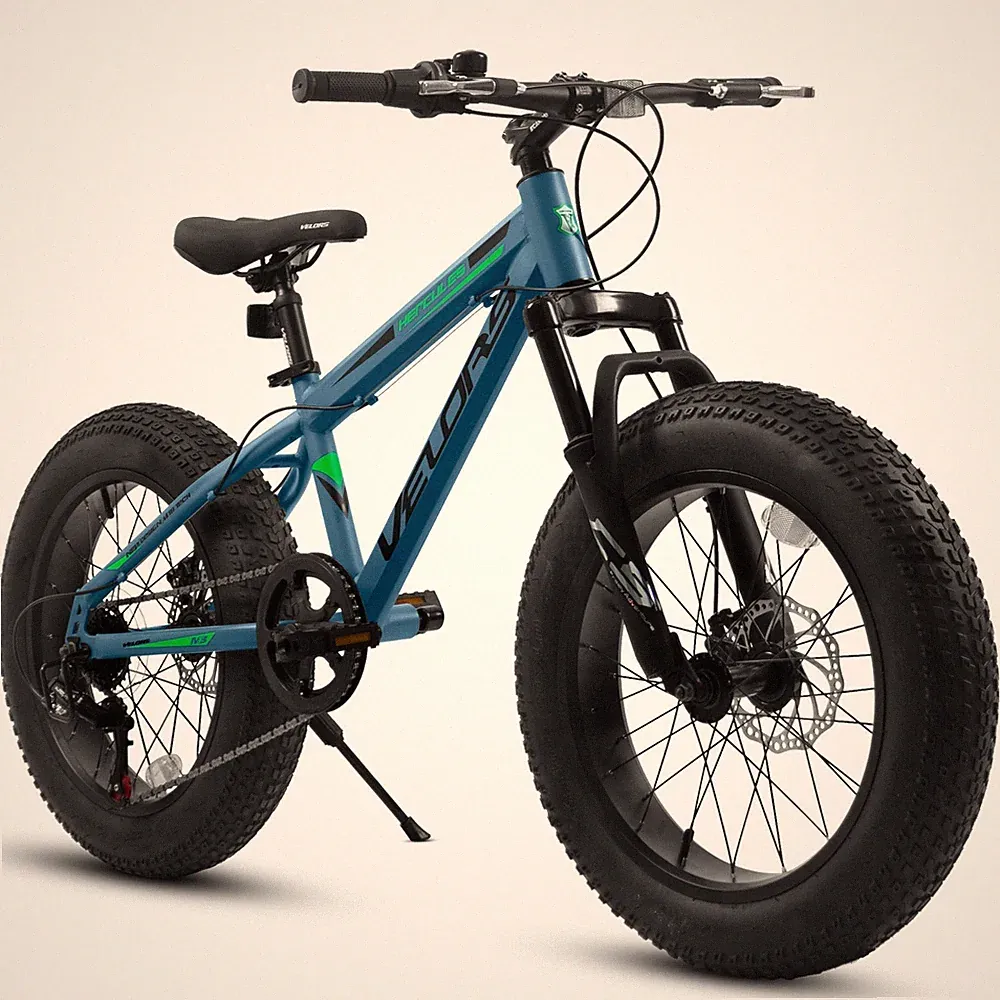 20 Inch Fat Tire Bike Adult 7 Speed Mountain Bike, Dual Disc Brakes, Steel Frame